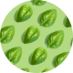basil