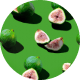 figs
